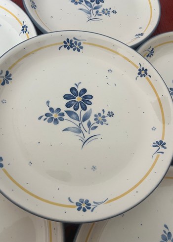 American Vintage Mavi Çiçek Desenli porselen Tabak Seti