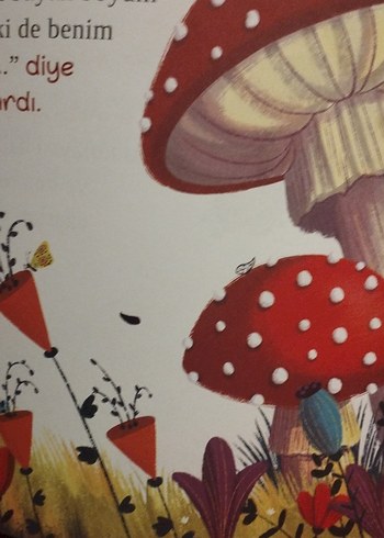 Çocuk Kitapları Seti: Ben Yapmadım, Havuçkız, Küsme Goldilocks - Görsel 8