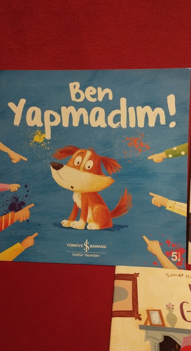 Çocuk Kitapları Seti: Ben Yapmadım, Havuçkız, Küsme Goldilocks - Görsel 3