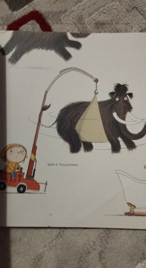 Mamut Yıkama Rehberi - Çocuk Kitabı - Görsel 2