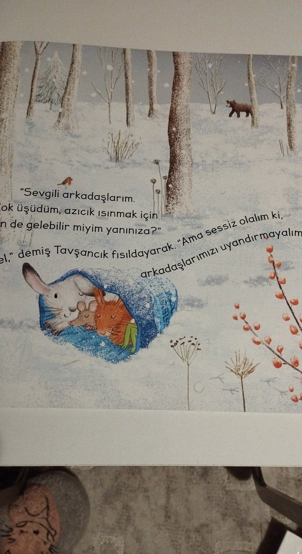 Keyifli kitaplar seti - Görsel 2