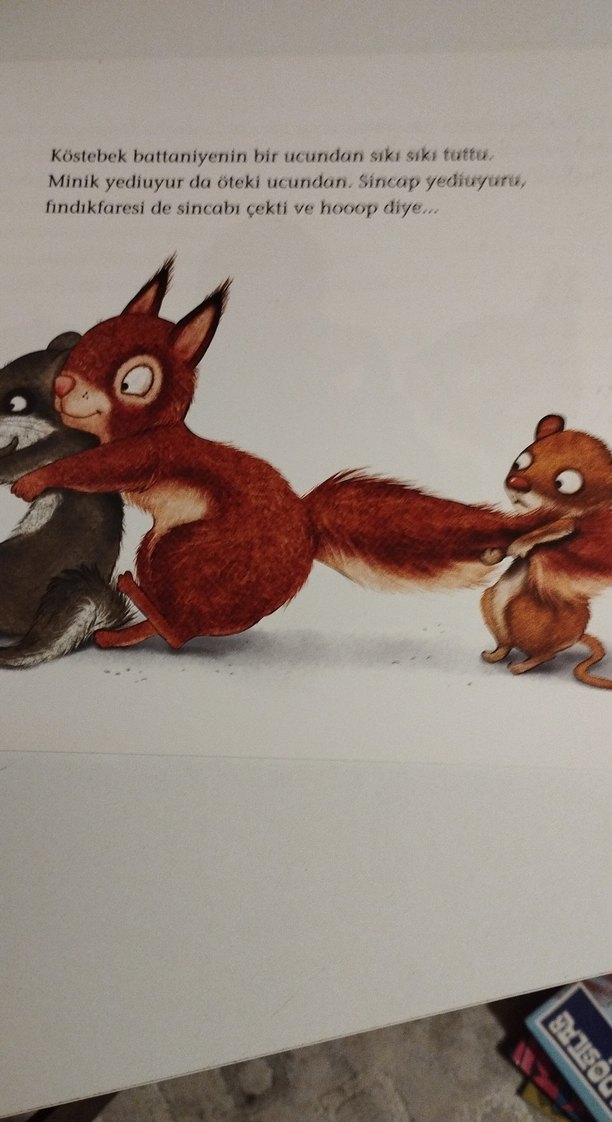Minik Yediuyur Benim Battaniyem! Çocuk Kitabı - Görsel 2