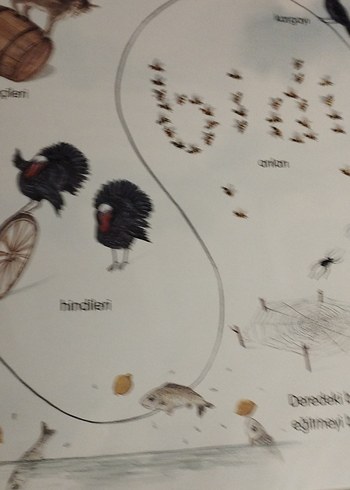 Küçük Fare Bidi Hikaye Kitabı - Görsel 4