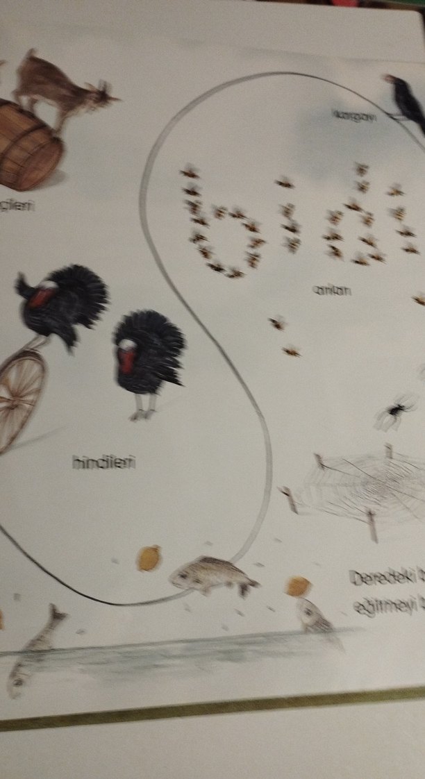 Küçük Fare Bidi Hikaye Kitabı - Görsel 4