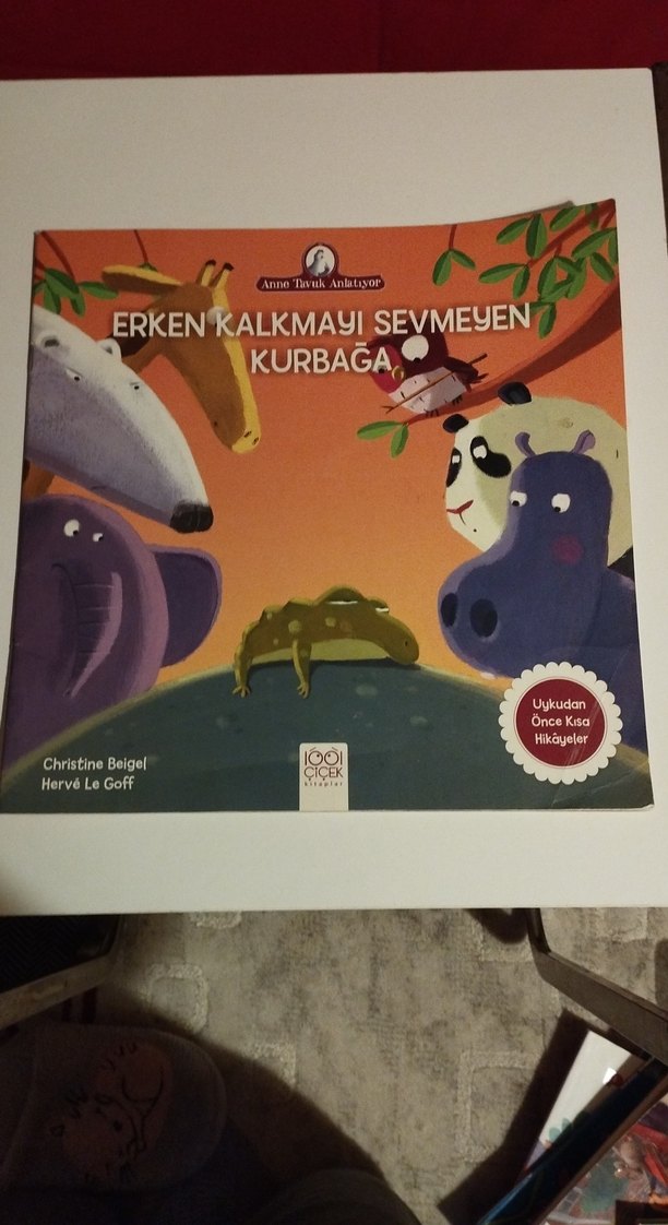 Çocuk Kitapları :Erken Kalkmayı sevmeyen Kurbağa ve Diğerleri - Görsel 5