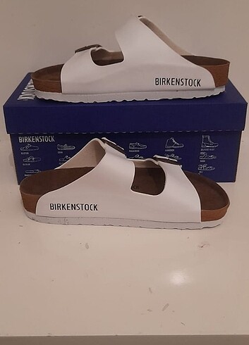 36-40 arasi