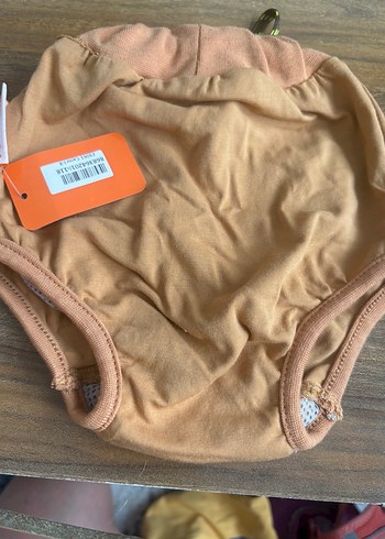 Köpek regl kilodu - Görsel 2