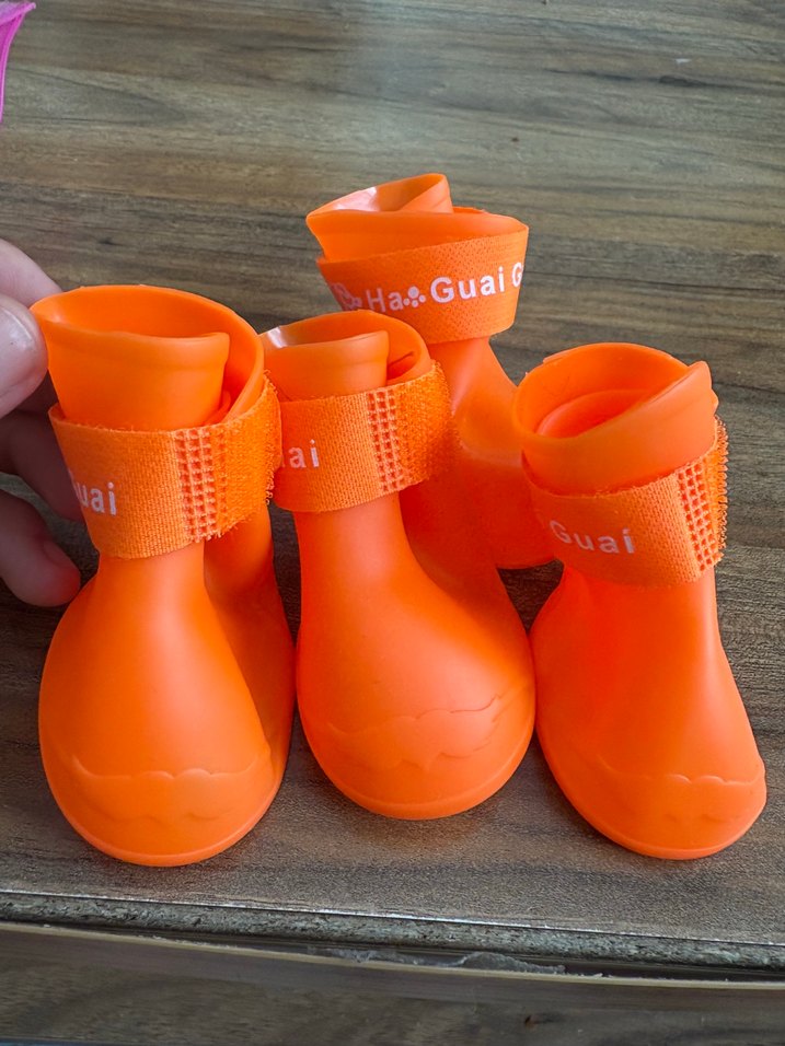 Köpek ayak koruyucu patik - Görsel 2