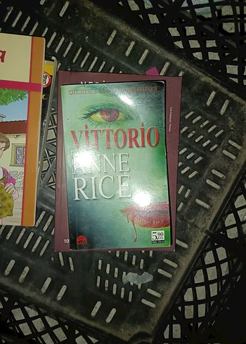 Nedim Gürsel - İlk Kadın Romanı - Görsel 7