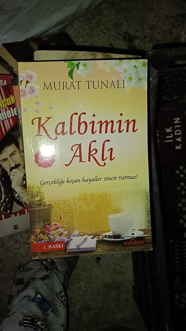 Nedim Gürsel - İlk Kadın Romanı - Görsel 4