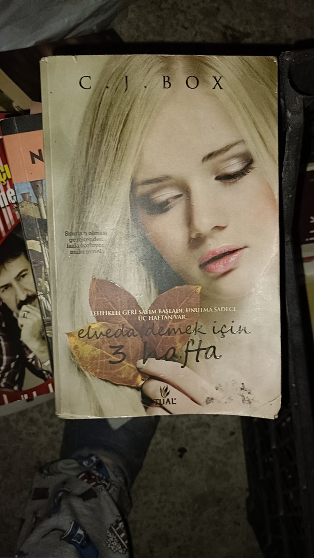 Nedim Gürsel - İlk Kadın Romanı - Görsel 3