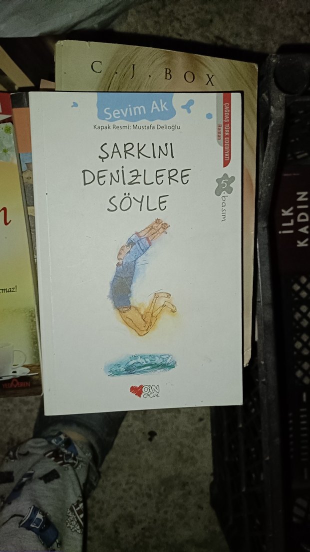 Nedim Gürsel - İlk Kadın Romanı - Görsel 5