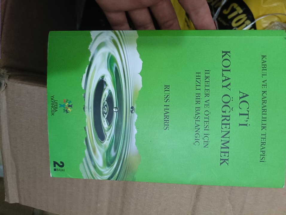 DSM-5 Tanı Ölçütleri Kitabı - Görsel 2