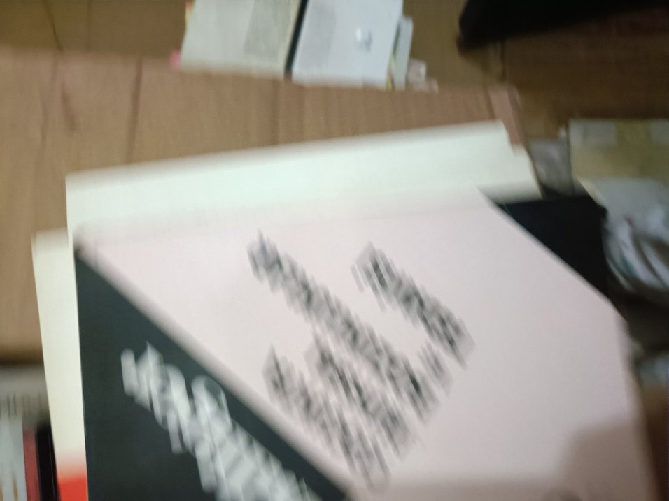 İnci Aral Biyografi Kitabı - Görsel 3