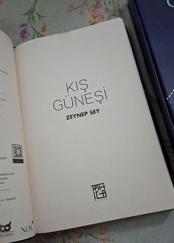 Kış Güneşi & Yaz Uykusu - Zeynep Sey - Görsel 4