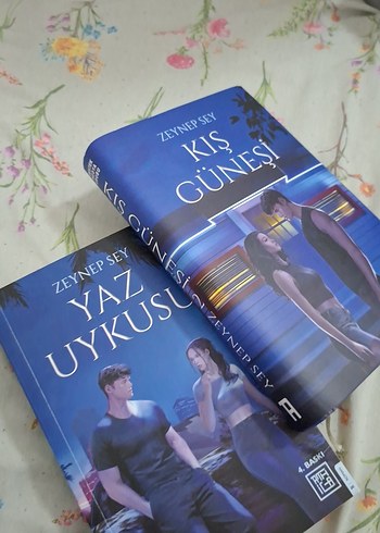 Kış Güneşi & Yaz Uykusu - Zeynep Sey - Görsel 2