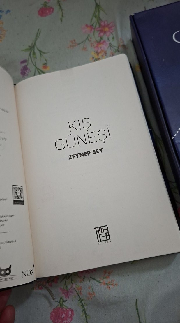 Kış Güneşi & Yaz Uykusu - Zeynep Sey - Görsel 4