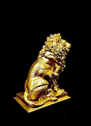 Beden Aslan gold biblo