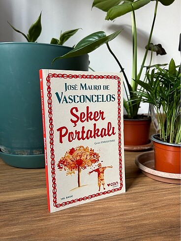 Şeker portakalı