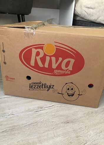 ayakkabı