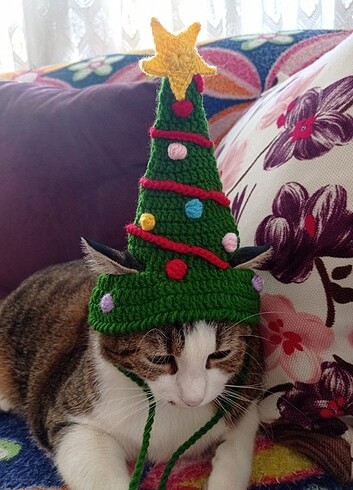 Kedi Noel ağacı şapka 