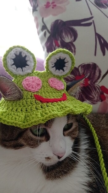 Kurbağa figürlü kedi şapka 
