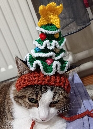 Kedi yılbaşı ağacı şapka 