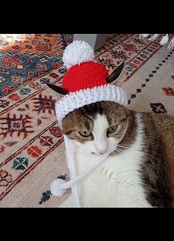 Kedi yılbaşı şapkası 