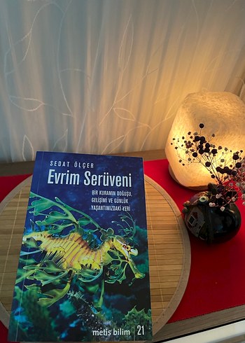 Evrim Serüveni - Sedat Ölçer