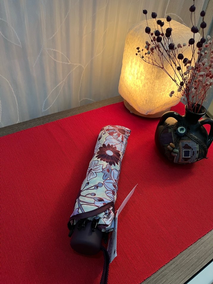 Şeffaf Mavi Çiçek Desenli Kadın Şemsiyesi - Kore Motifleriyle - Görsel 2