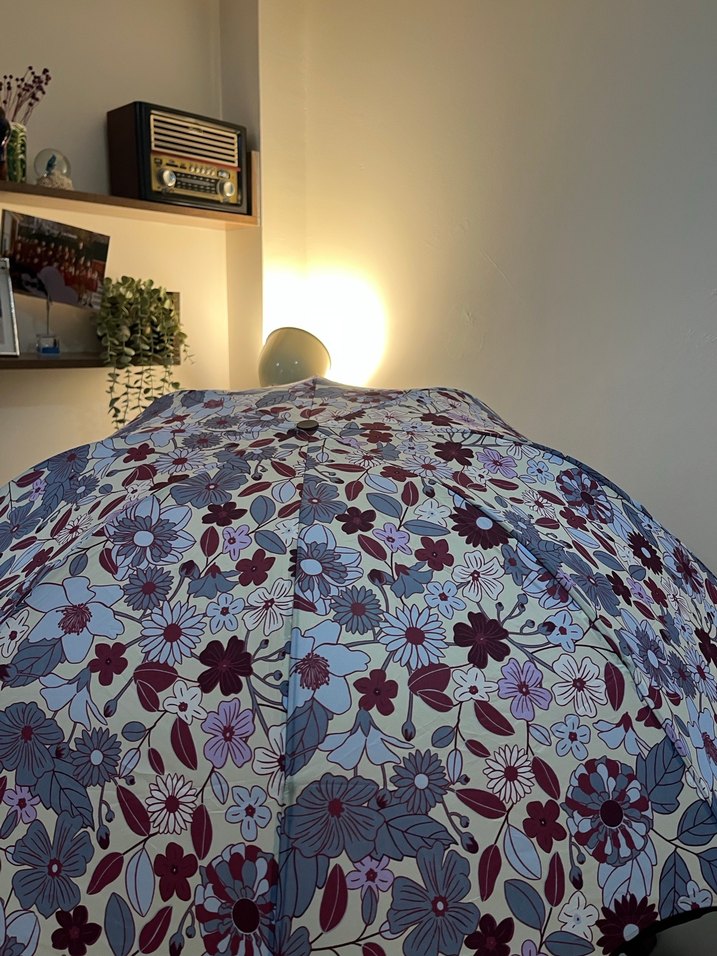 Şeffaf Mavi Çiçek Desenli Kadın Şemsiyesi - Kore Motifleriyle - Görsel 5