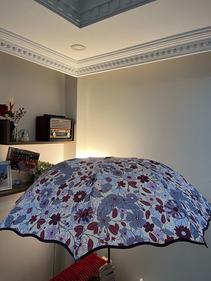 Şeffaf Mavi Çiçek Desenli Kadın Şemsiyesi - Kore Motifleriyle - Görsel 4