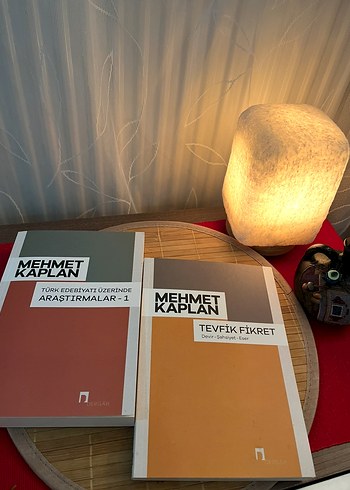 Mehmet Kaplan iki kitap