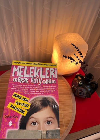 Melekleri Merak Ediyorum - Özgün Mizah Kitabı