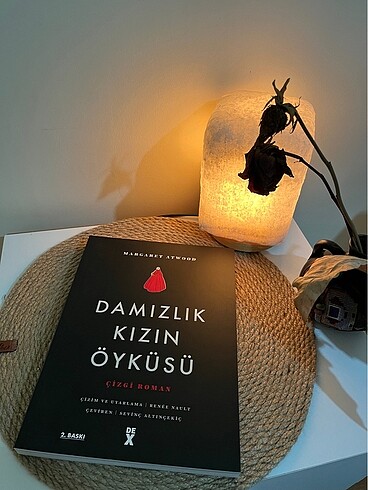 Damızlık Kızın Öyküsü
