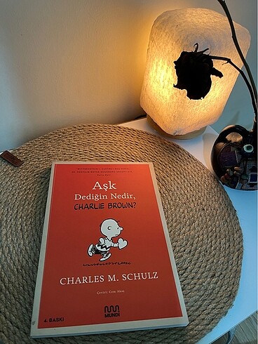 Aşk Dediğin Nedir, Charlie Brown?