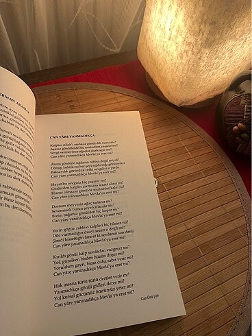 Can Özü - Görsel 2