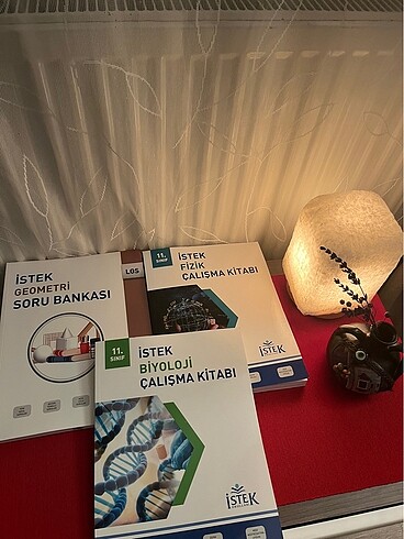 İstek Fizik Çalışma Kitabı 11. Sınıf