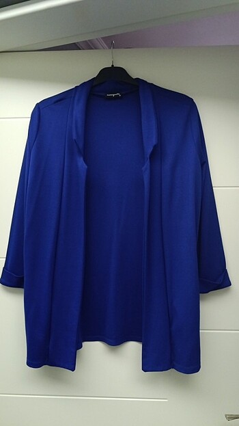 Blazer ceket