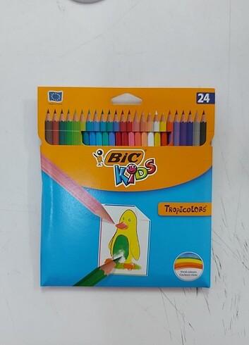 Bic 24'lü Kuru Boya 