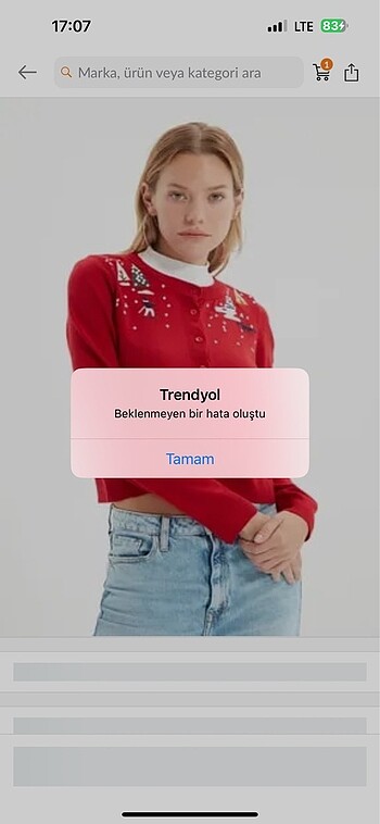 Trendyol hırka