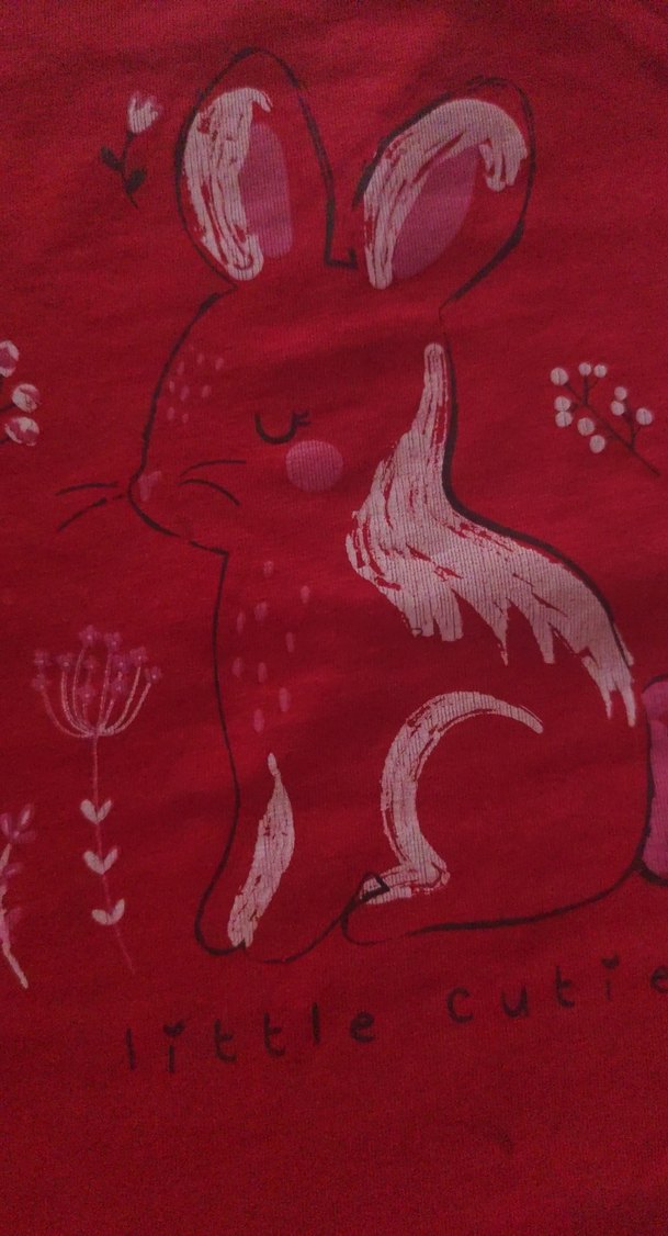 Kız Çocuk Kırmızı Uzun Kollu Baskılı Tişört - Görsel 3