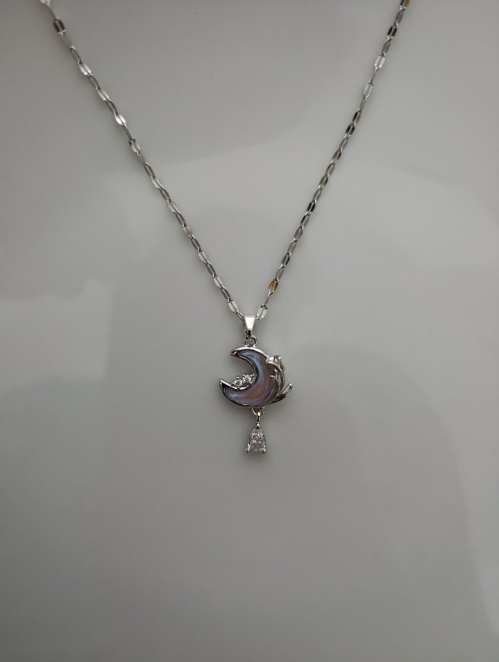 İnce Zincirli Ay Kolye - Görsel 2