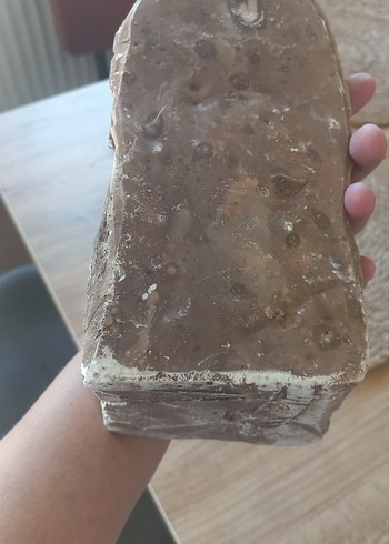 Beden Altın Rengi Kabile Şefi Figürü