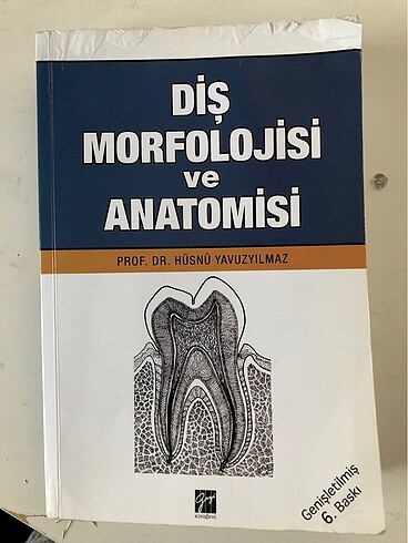 Diş morfolojisi ve anatomisi