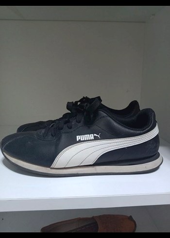 Puma 41