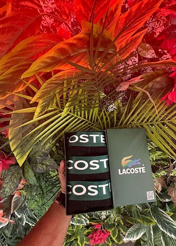 Lacoste Erkek Loose Fit Baskılı Boxer Seti