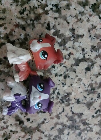 Collie minis
