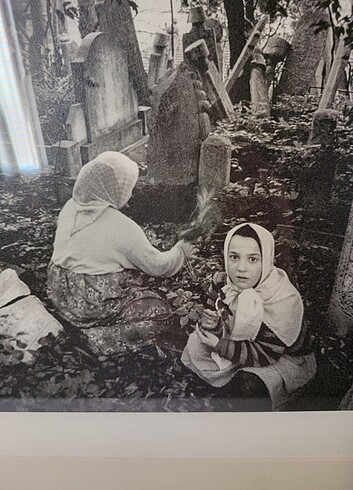  Beden siyah Renk ARA GÜLER ISLAK İMZALI Sertifikalı