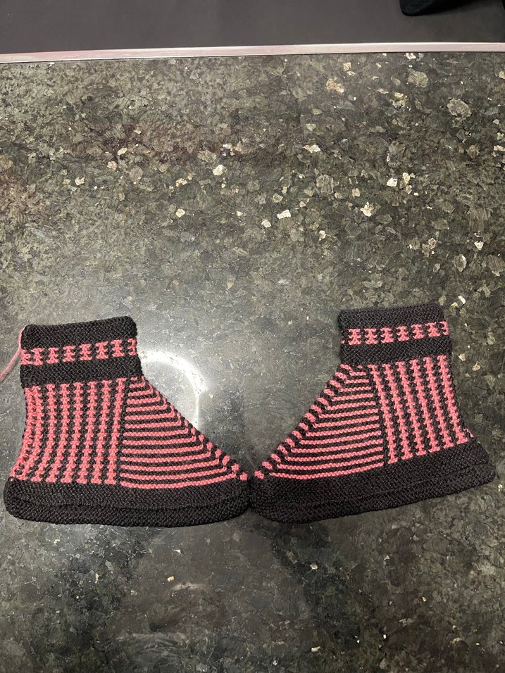 Örgü Ev Botu - Görsel 4